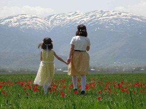 Muş Ovası Lalelerle Kırmızıya Boyandı