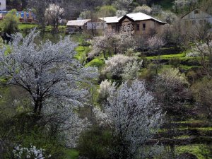 Tarihi Mahalle Bahar Renklerine Büründü, Görsel Şölen Oluştu