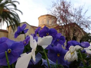 Trabzon’daki Ayasofya Camii Rengarenk