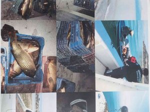 Isparta’da Kaçak Avlanan 15 Şahsa 57 Bin 555 Tl Para Cezası Kesildi