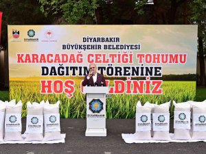 Diyarbakırlı Çiftçilere Çeltik Tohumu Desteği
