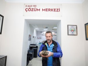 Şehir Trafiğinde Mahsur Kalan Kaplumbağaya Belediye Sahip Çıktı