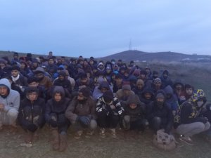 Van’da 101 Düzensiz Göçmen Yakalandı