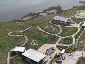 Yalova Altınova Tıbbı Bitki Üretiminde De Söz Sahibi Olacak