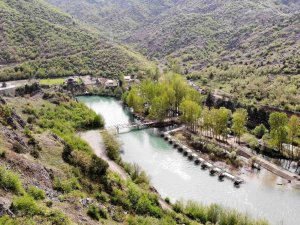 Yayla Ama Yüksekte Değil, Görenleri Şaşırtıyor