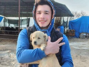 17 Yaşındaki Genç Trafik Kazasında Hayatını Kaybetti