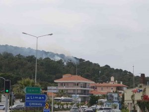 Çeşme Karadağ’da Çıkan Yangın Kontrol Altına Alındı