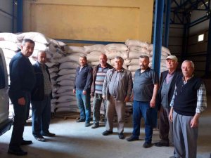 Sinoplu Çiftçilere Hibe Destekli Çeltik Tohumu Dağıtıldı