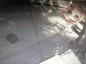 Bursa Şehir Merkezinde Ayı Paniği: Burun Buruna Geldiler