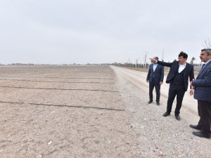 Karatay’daki Lavanta Bahçeleri 400 Bin Metrekare Büyüklüğe Ulaştı