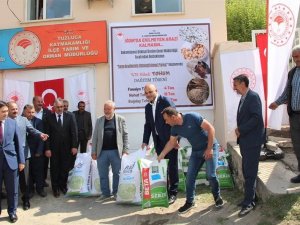 Çiftçilere Tohum Dağıtımı Gerçekleştirildi