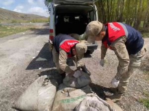 Muradiye’de Kaçak Avlanmış 450 Kilo Balık Ele Geçirildi
