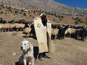 Erzincan’da Meralar Küçükbaş Hayvanlarla Şenlendi