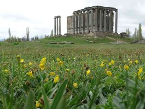 Aizanoi Antik Kenti’nde İlkbahar Güzelliği