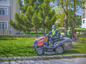 Şehir Merkezi Ve Orta Refüjlerdeki Yeşil Alanlarda Çim Biçme Çalışmaları