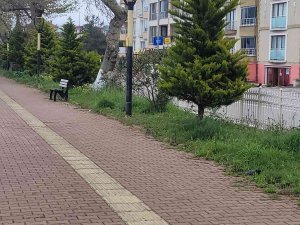 Tartıştığı Şahsı Pompalı Tüfekle Yaraladı