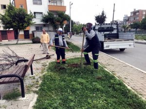 Akdeniz’de Yenileme Çalışmaları Aralıksız Sürüyor