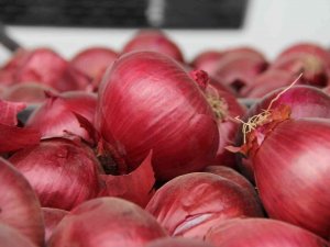 Mersin Ve Adana’nın Enflasyonu Türkiye Enflasyonunu Geçti: Yüzde 72,36