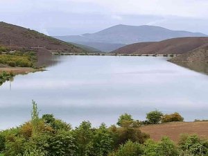 Tamamen Kuruyan Gölet, Yeniden Hayat Buldu