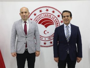 İ̇nteraktif Çilek E- Çalıştayı Kitap Oldu
