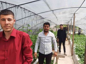 İ̇zledikleri Videodan Etkilenip Sera Kuran Gençler Topraksız Tarım Yapıyor