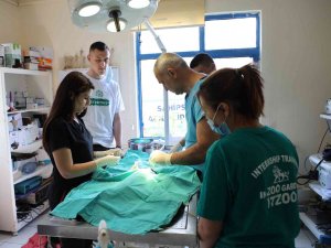 Makedon Öğrenciler Antalya Hayvanat Bahçesi’nde Eğitim Alıyor