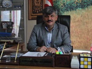 Yağışlar Çiftçinin Umutlarını Yeşertti