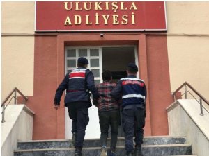 Kablo Hırsızları Yakalandı