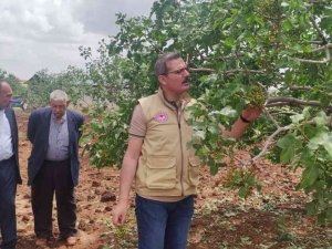 Dolunun Vurduğu Tarım Arazilerinde Hasar Tespiti Başladı