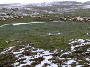 Mayıs Ayında Kar Sürprizi