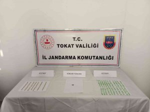 Tokat’ta Uyuşturucu Operasyonu