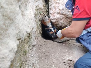 Tilkinin Peşinden Girdikleri Obrukta Sıkışan Köpekleri İtfaiye Kurtardı
