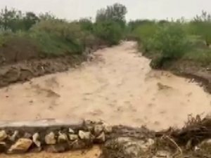 Elazığ’da Dereler Taştı, Su Altında Kalan Tarım Arazileri Zarar Gördü