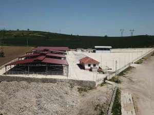 Havza Kapalı Canlı Hayvan Pazarı Yarın Hizmete Girecek