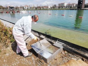 Çorum’da Vektörel Mücadele Çalışmaları Sürüyor