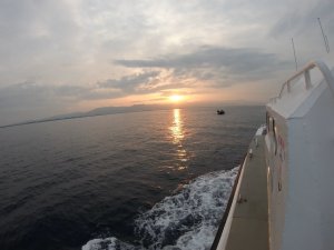 Ayvalık’ta 38 Düzensiz Göçmen Yakalandı