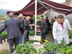 Organik Tarıma İlgi Arttı