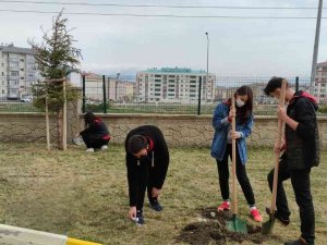Değerlerle Hayatına Renk Kat Etwinning Projesi