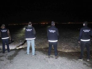 İ̇nci Kefalinin Korunması İçin Geceli Gündüzlü Denetim
