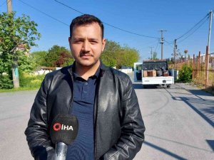 Küçükçekmece’de Sokak Köpekleri Yaşlı Adama Saldırdı