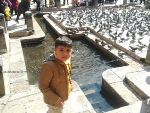 Şanlıurfa’da Halk Otobüsünün Çarptığı Çocuk Öldü
