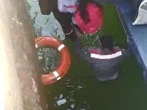 Feribottan İnip İskelede Dolaşırken Denize Düşen Çocuğu Görevli Personel Kurtardı