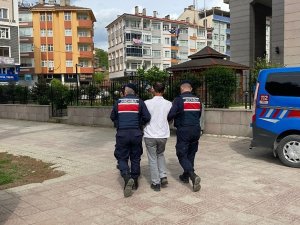 Hırsızlıktan Aranan Şahıs, Saklandığı Ormanda Yakaladı