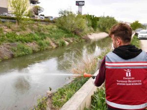 Tepebaşı’ndan Haşereye Karşı İlaçlama Çalışmaları