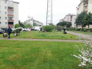 Derince’de Yeşil Alanlar Yaza Hazırlanıyor