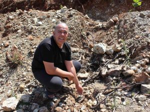 Fidan Dikerken Bulunan Cüzdanın 20 Yıl Önce Çalındığı Ortaya Çıktı