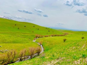 Ağrı’da Yeniden Canlanan Doğa Büyülüyor