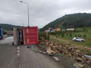 Ağaç Kökü Yüklü Tır Devrildi, Sürücüsü Yaralandı