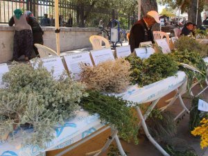 Mut’ta Ot Festivali