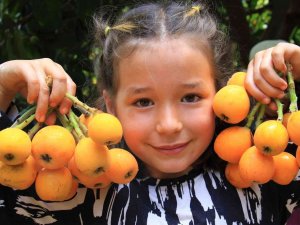 Mersin’in Sarı Altını Yenidünya Üreticisini Fiyatıyla Sevindirdi
